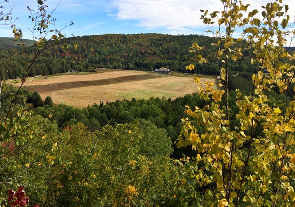 Plan d’intervention agroforestier en permaculture végétale. Hébergement d’aventure. Projet Gollé Goulu. St-Côme, 2016.