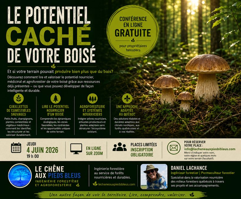 Le potentiel caché de votre boisé